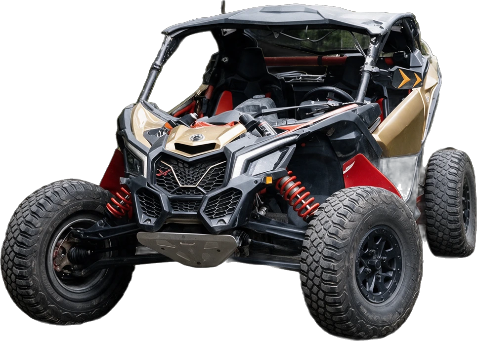 BUGGY