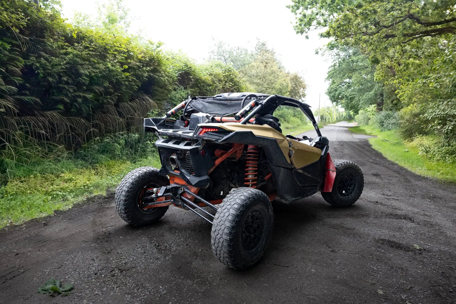 BUGGY