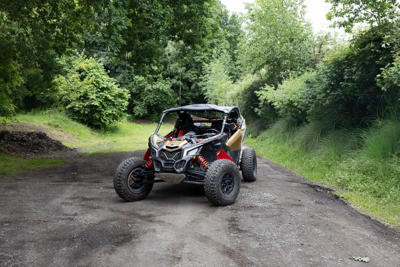 BUGGY
